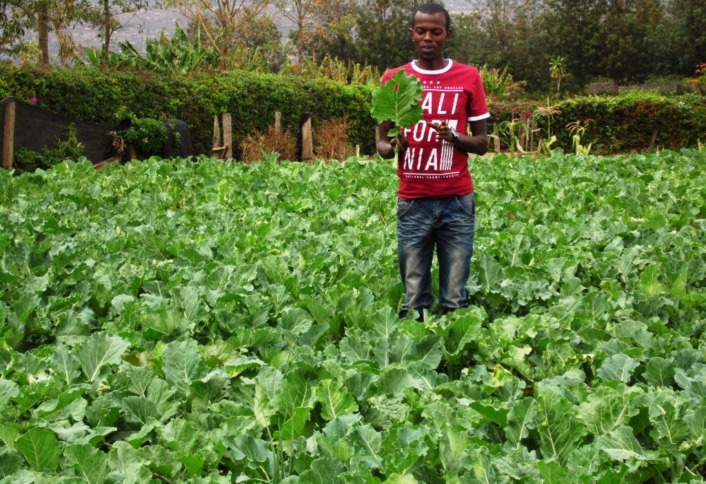 Sukuma kenin maingi nakuru by laban robert.JPG